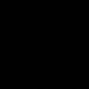 Meet your Posher, Yolanda